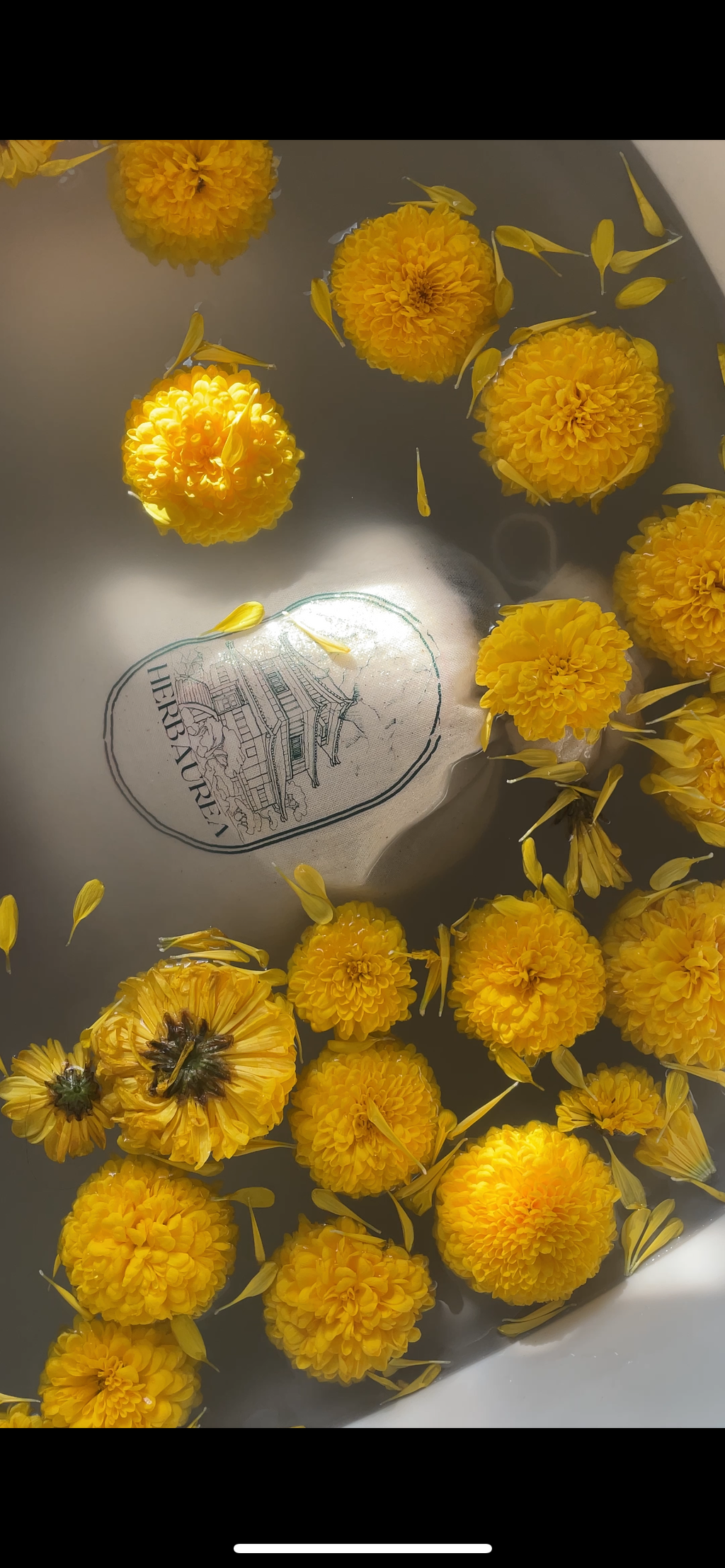 Montagne brumeuse - Sommeil profond et soulagement musculaire