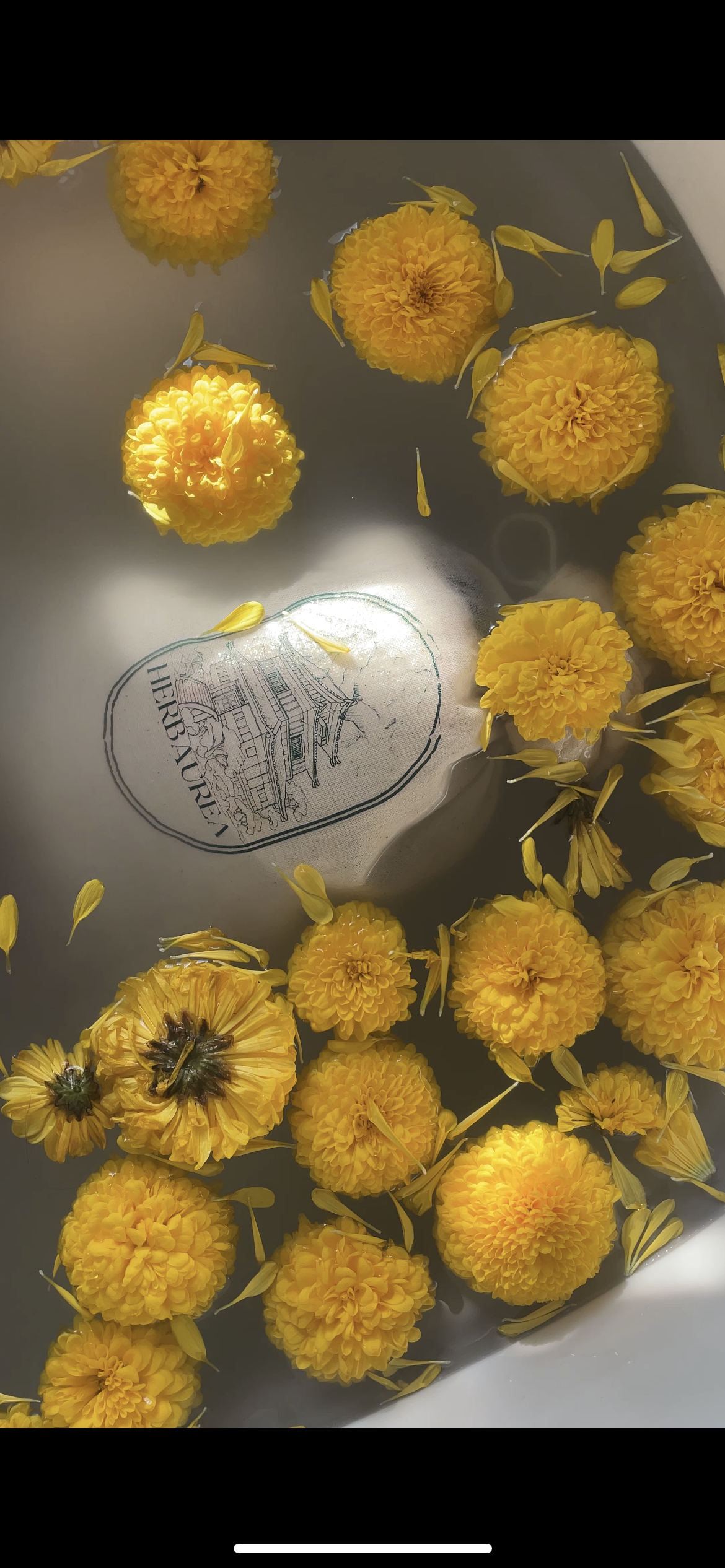 Montagne brumeuse - Sommeil profond et soulagement musculaire