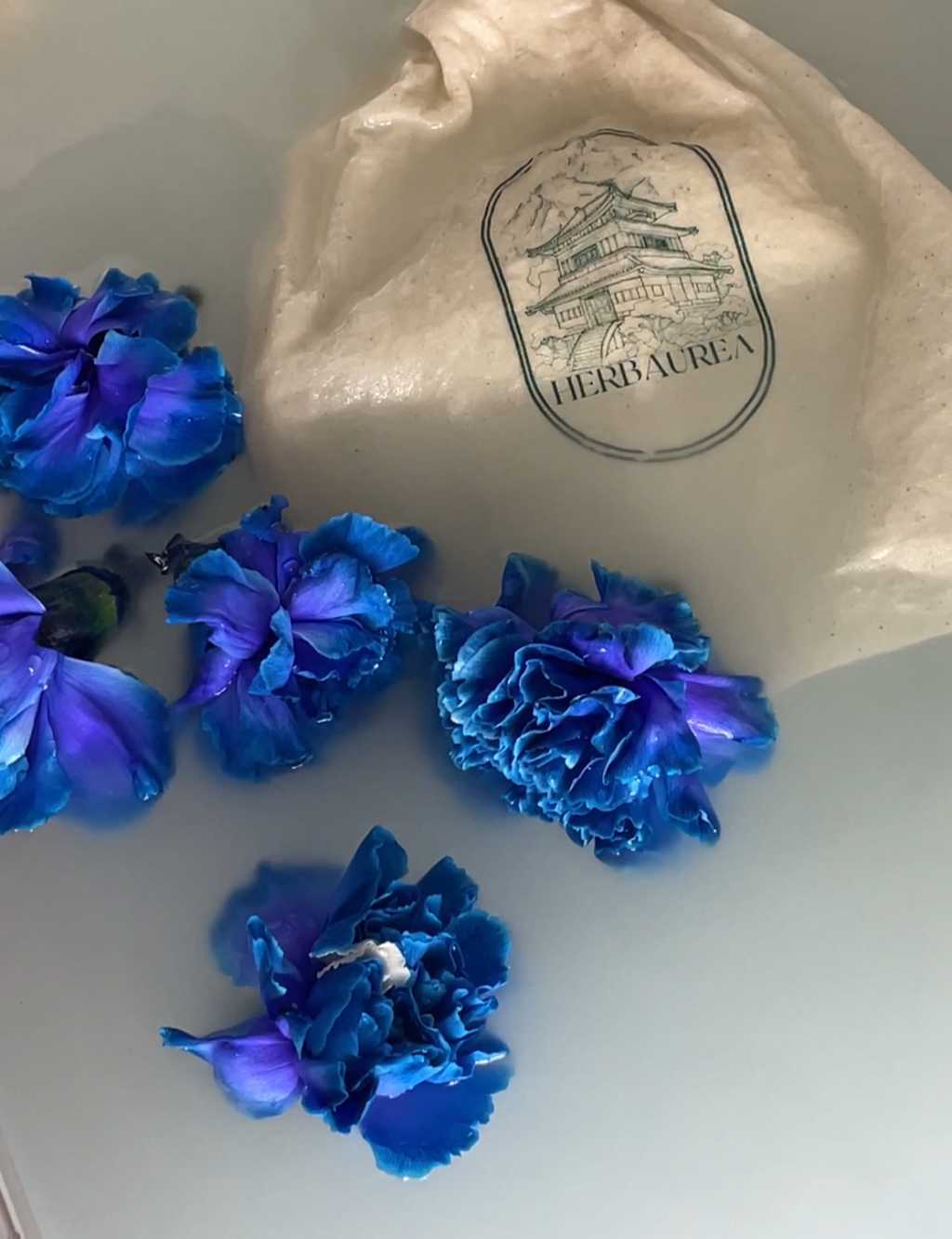 Bain Grossesse & Post-partum