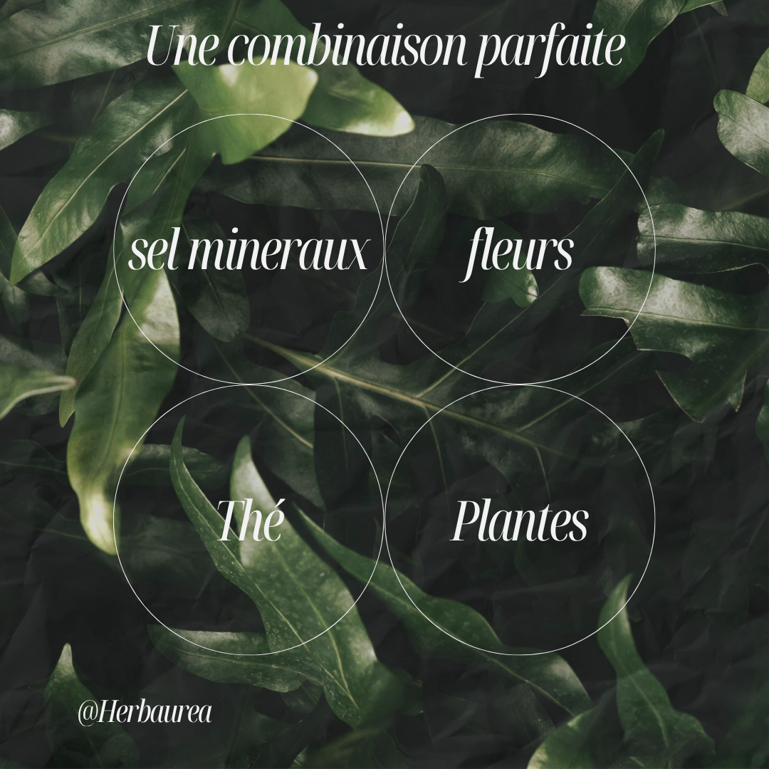 Bain Grossesse & Post-partum